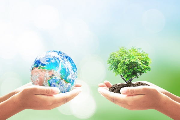 NEI's dedication to environmental protection and sustainability.
